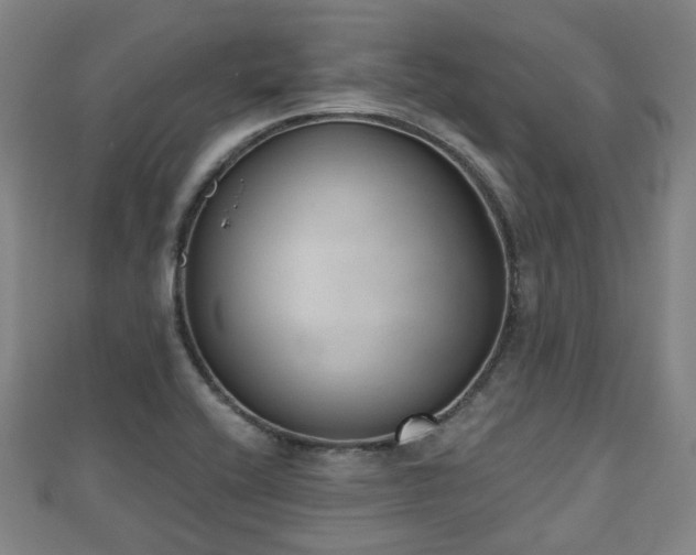 X0000110721416200906191456