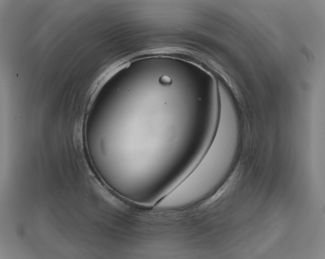 X0000110721417200906191456