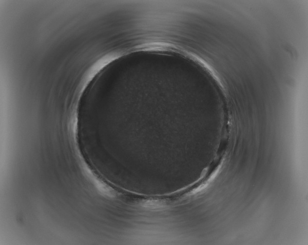 X0000110721418200906191456