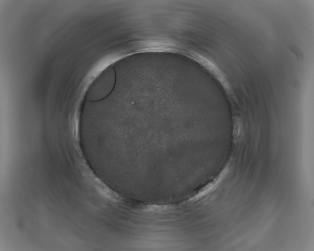 X0000110721419200906191456