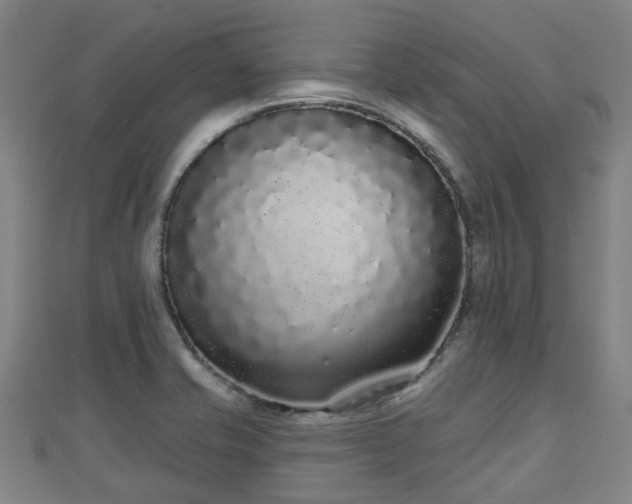 X0000110721421200906191456