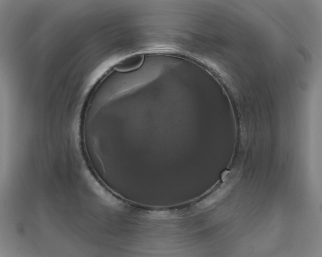 X0000110721422200906191456