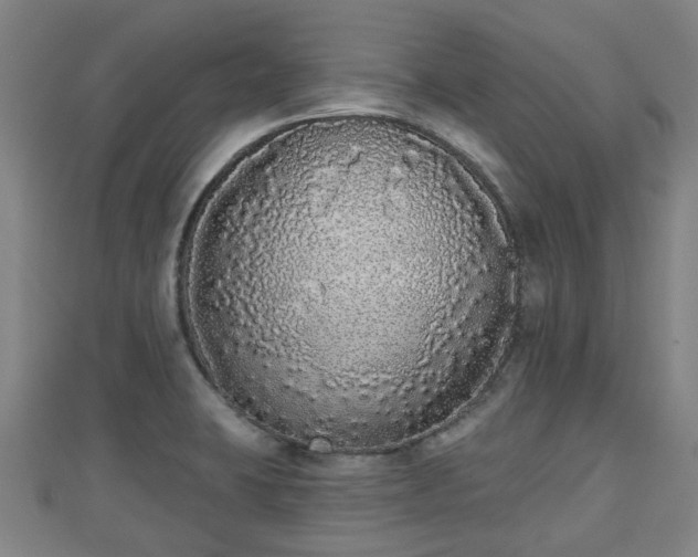 X0000110721423200906191456