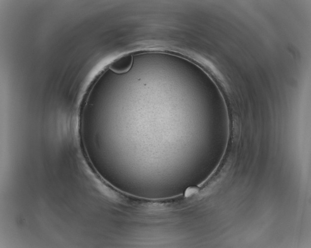 X0000110721424200906191456