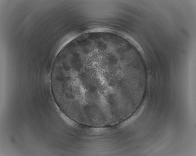 X0000110721425200906191456