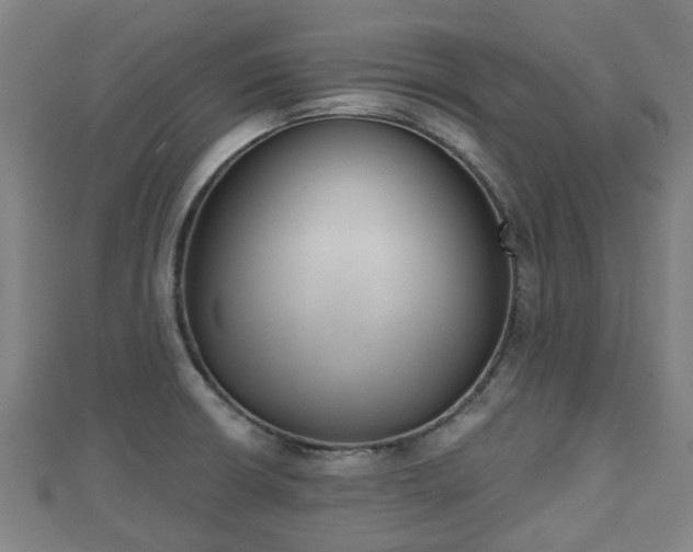X0000110721426200906191456