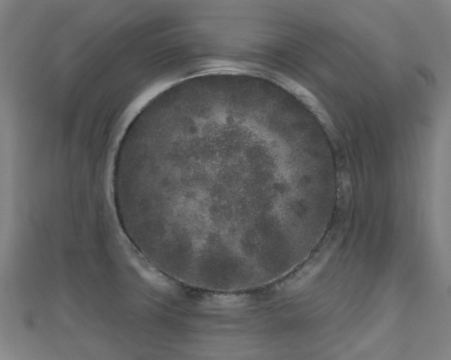X0000110721427200906191456