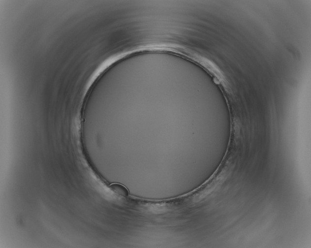 X0000110721428200906191456