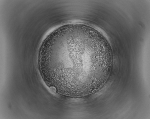 X0000110721429200906191456