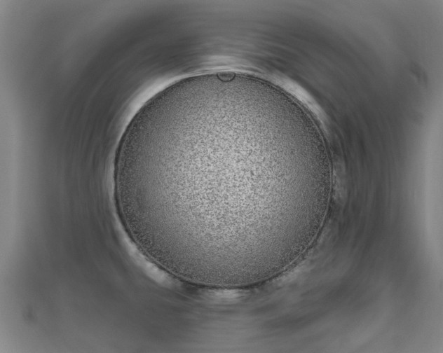 X0000110721431200906191456