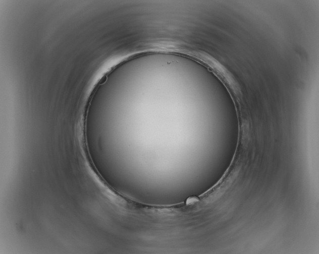 X0000110721432200906191456