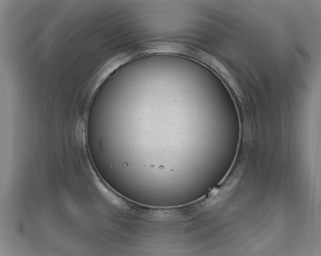 X0000110721433200906191456