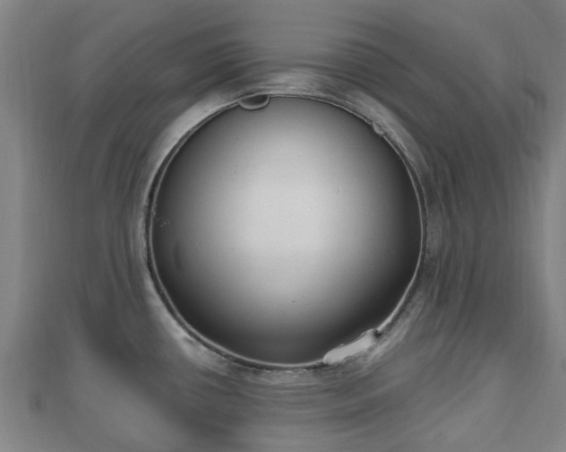 X0000110721434200906191456