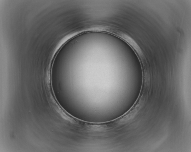 X0000110721436200906191456