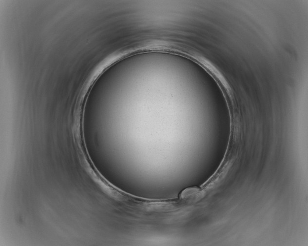 X0000110721437200906191456