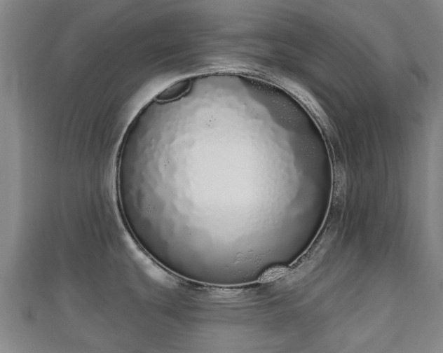 X0000110721439200906191456