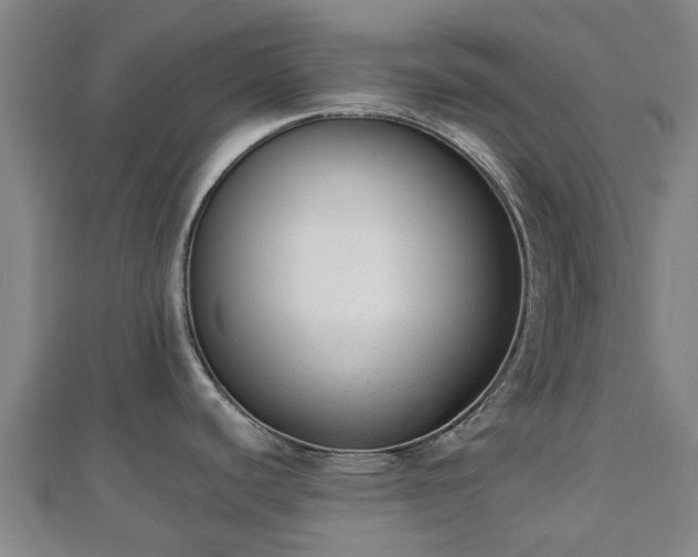 X0000110721440200906191456