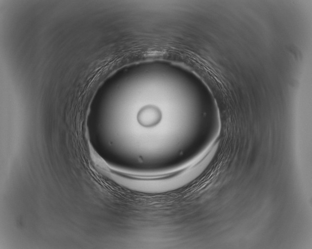 X0000110721441200906191456