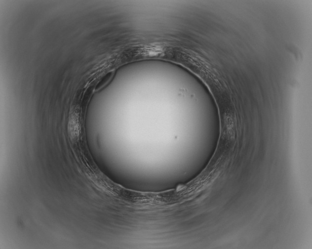X0000110721442200906191456