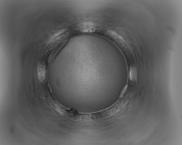 X0000110721444200906191456
