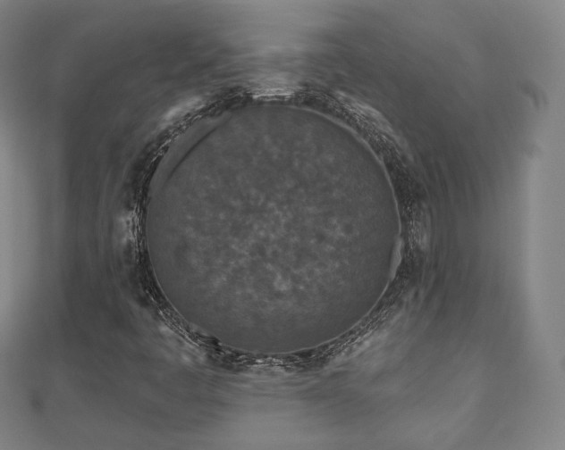 X0000110721445200906191456