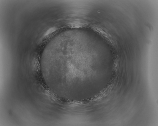 X0000110721446200906191456