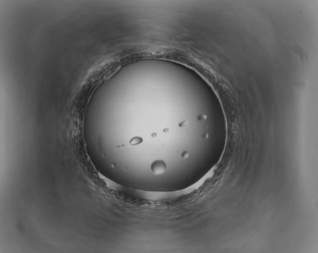 X0000110721447200906191456