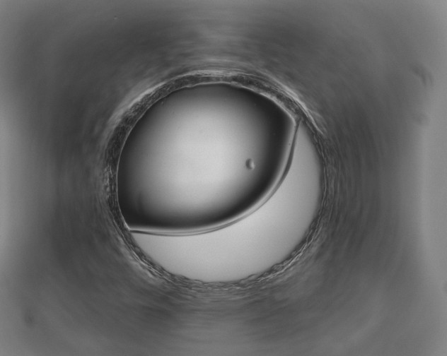 X0000110721448200906191456