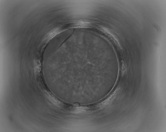 X0000110721449200906191456