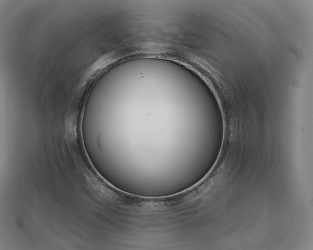X0000110721451200906191456