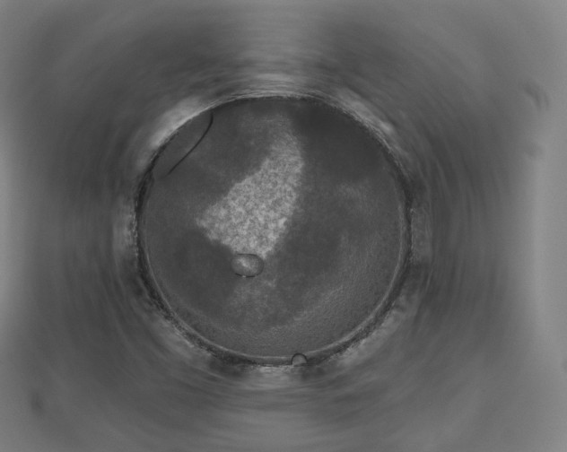 X0000110721453200906191456