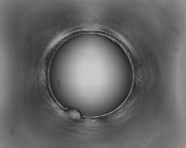 X0000110721456200906191455