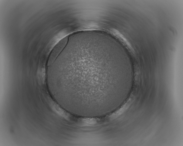 X0000110721457200906191455