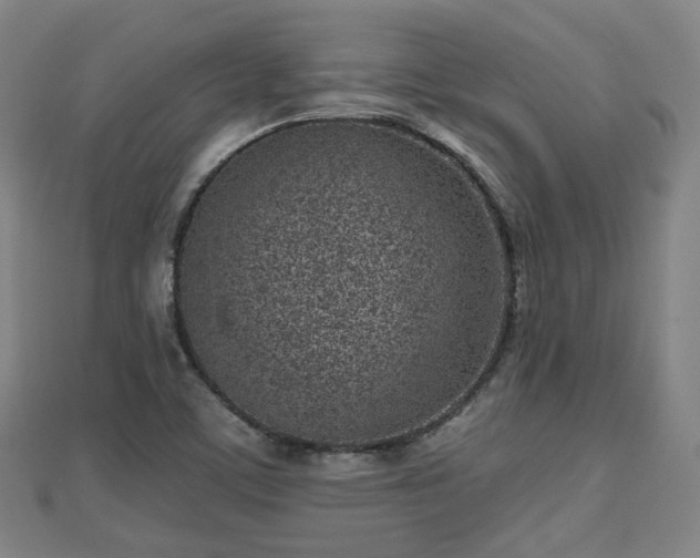 X0000110721459200906191455