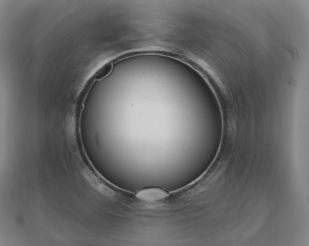 X0000110721460200906191455