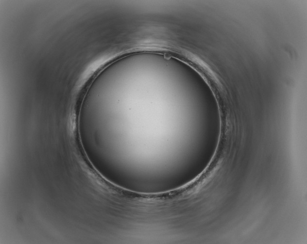 X0000110721461200906191455
