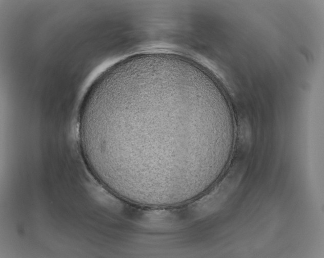 X0000110721462200906191455