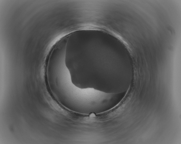 X0000110721463200906191455