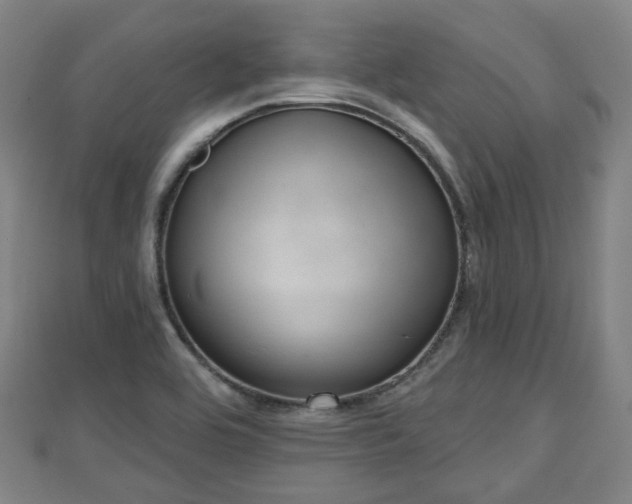 X0000110721464200906191455