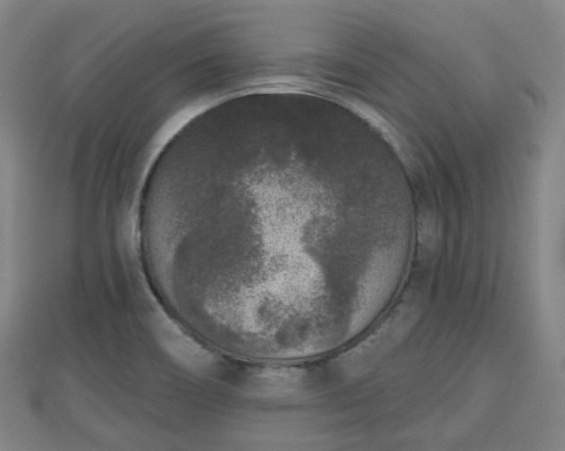 X0000110721466200906191455