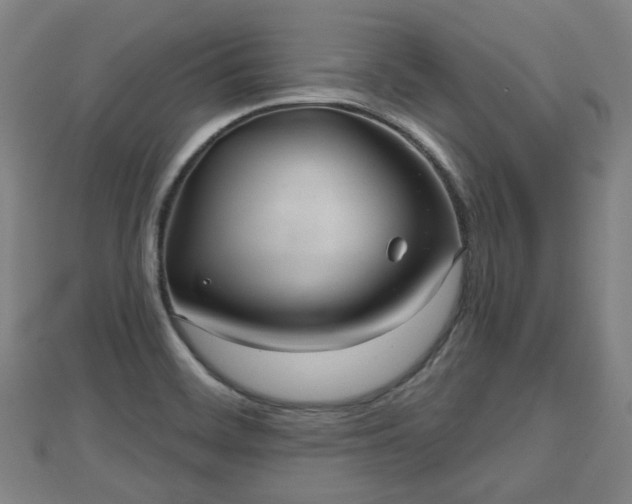 X0000110721468200906191455