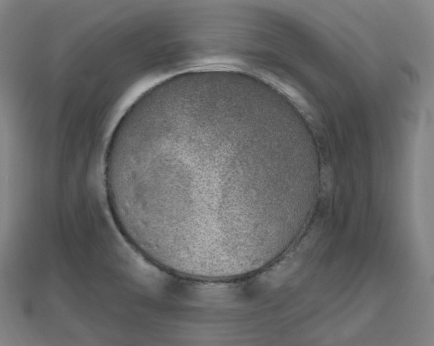 X0000110721470200906191455