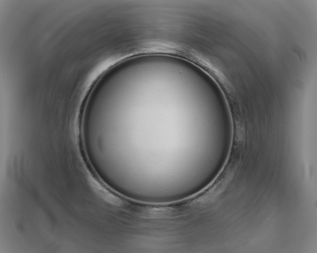 X0000110721471200906191455