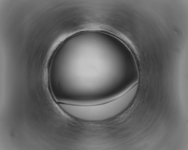 X0000110721472200906191455