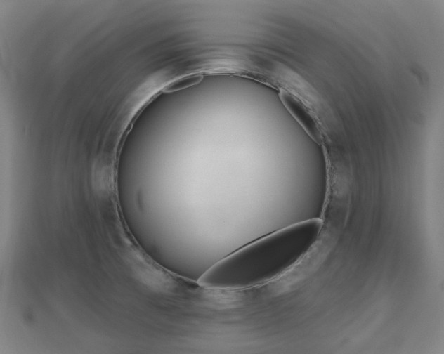 X0000110721473200906191455