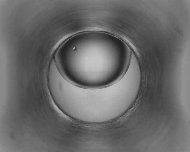 X0000110721476200906191455