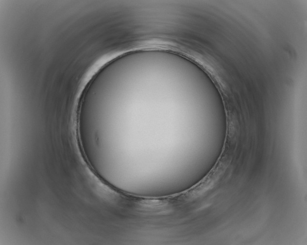 X0000110721478200906191455