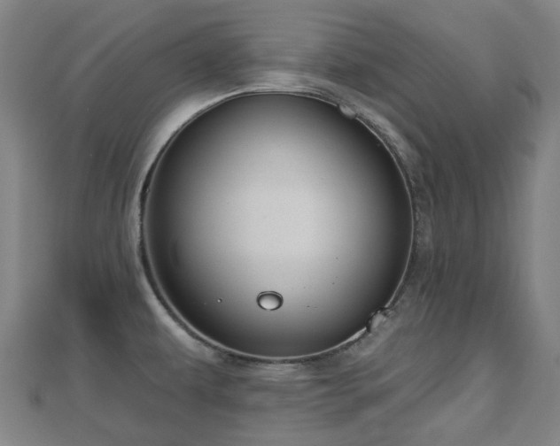 X0000110721479200906191455