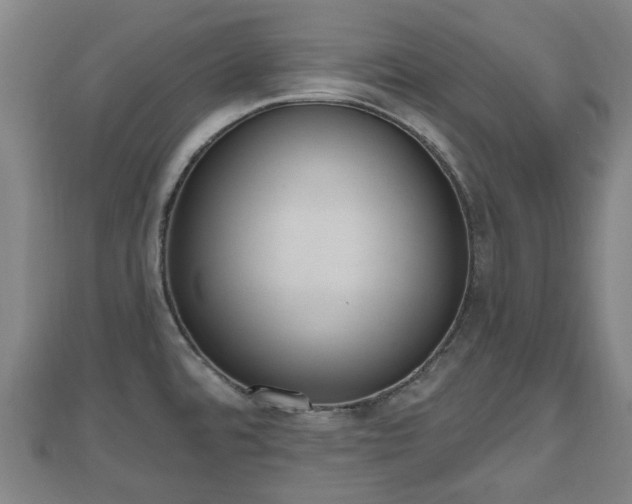 X0000110721480200906191455