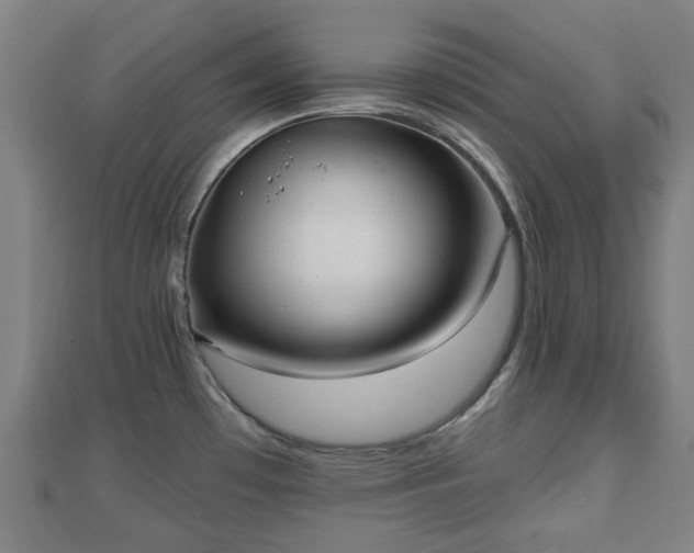 X0000110721481200906191455